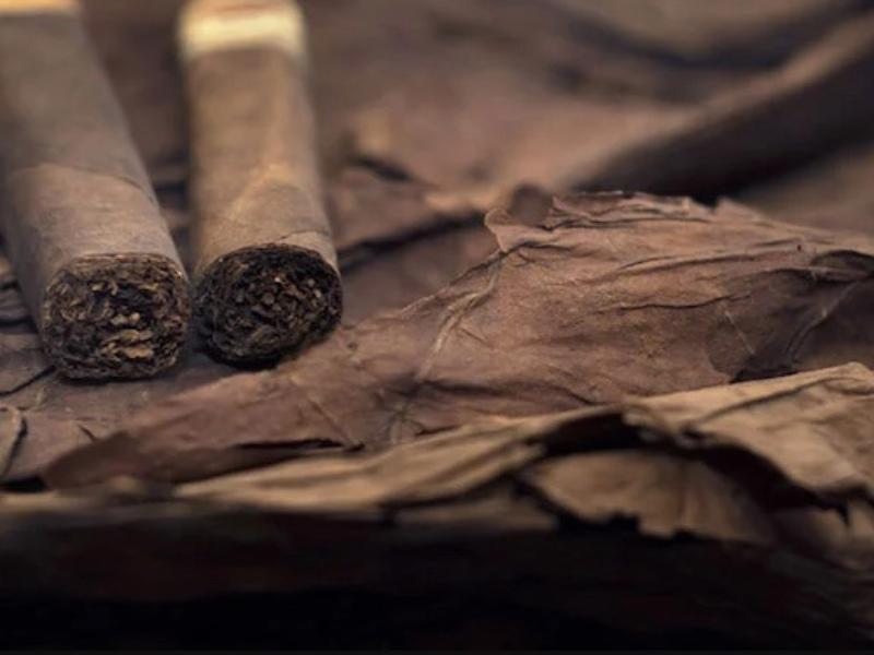 Xì gà khi bị khô có những giải pháp khắc phục nào